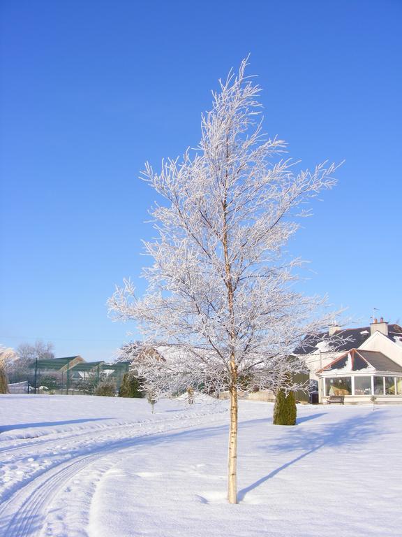 Ballyhargan Farm House Dungiven Exteriér fotografie