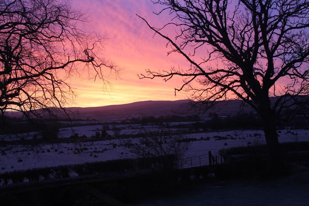 Ballyhargan Farm House Dungiven Exteriér fotografie