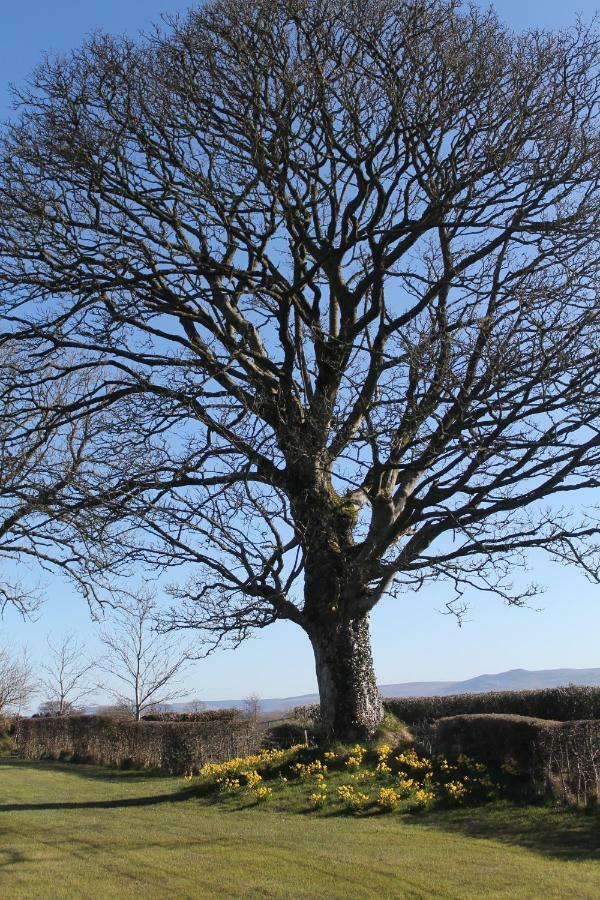 Ballyhargan Farm House Dungiven Exteriér fotografie